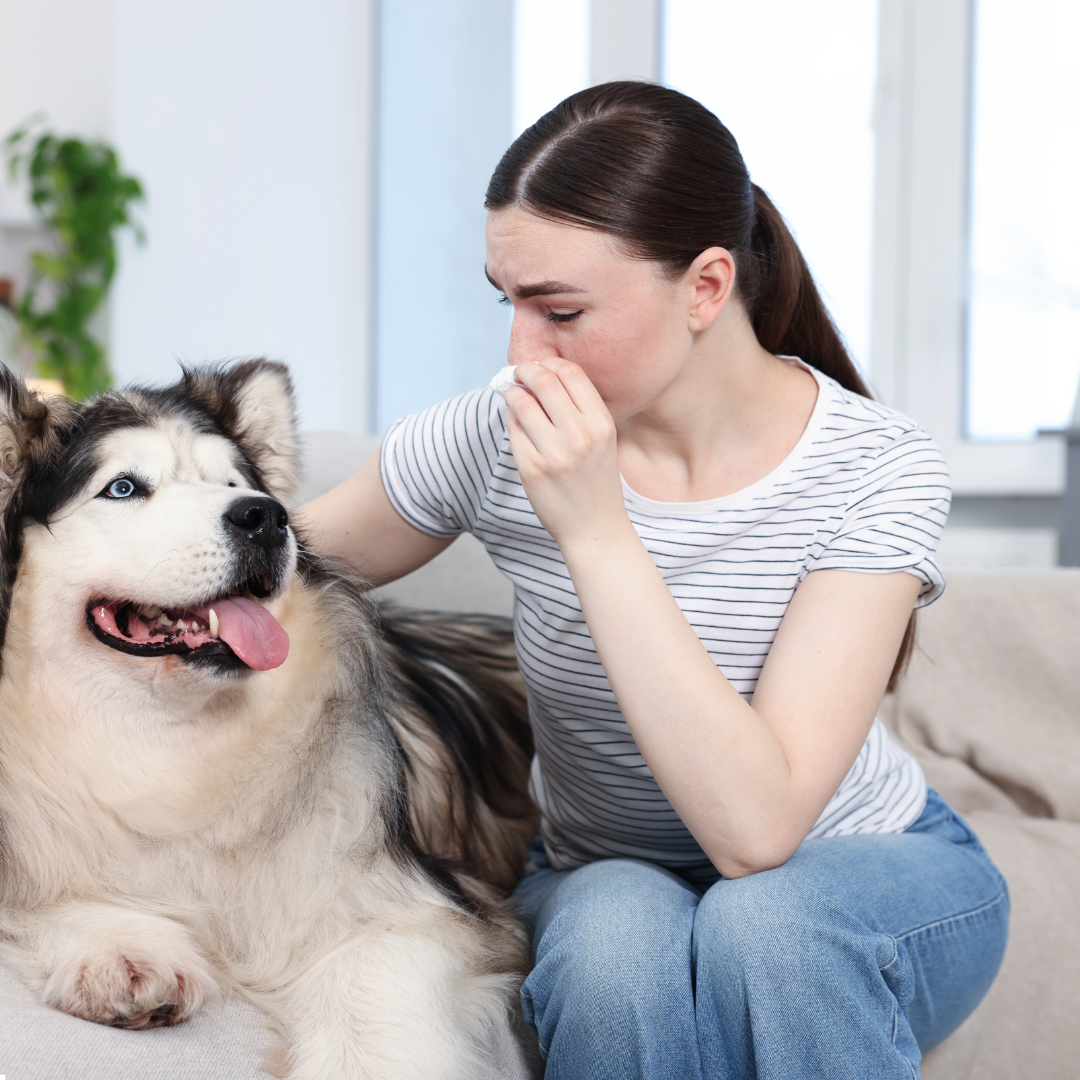 Comment enlever l’odeur d’urine de chien selon la surface ?