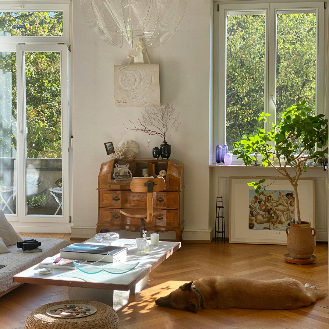 Désodorisant maison naturel : comment choisir une solution efficace ?