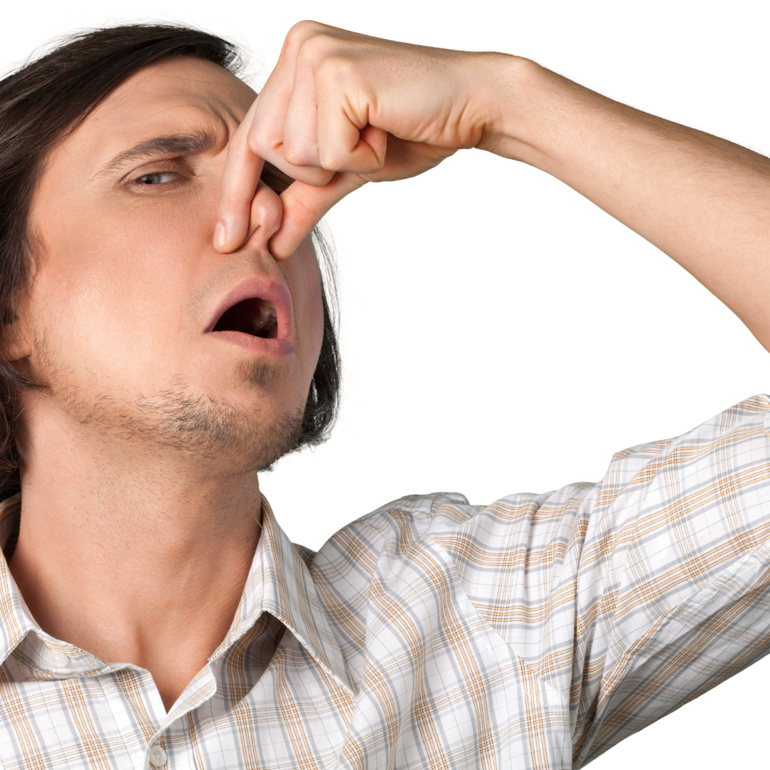 Odeur maison introuvable : comment identifier la source ? Image