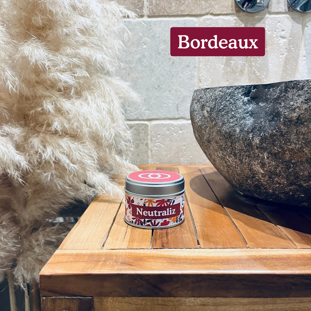 Neutraliz, absorbeur et destructeur d'odeurs naturel et efficace ...