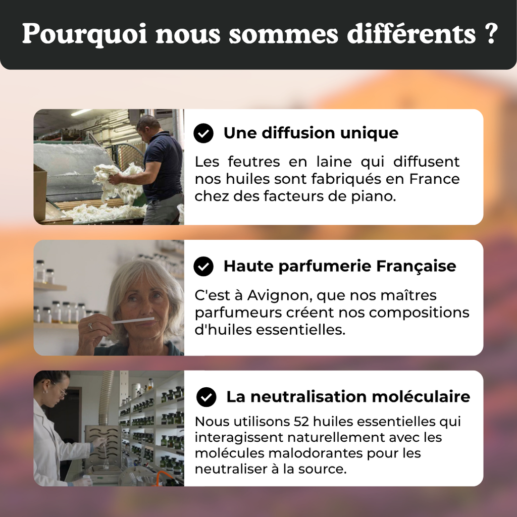 Neutraliz Professionnel